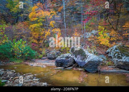Massi e colore autunnale lungo Falling Water Creek nell'area della foresta nazionale di Ozark dell'Arkansas. Foto Stock