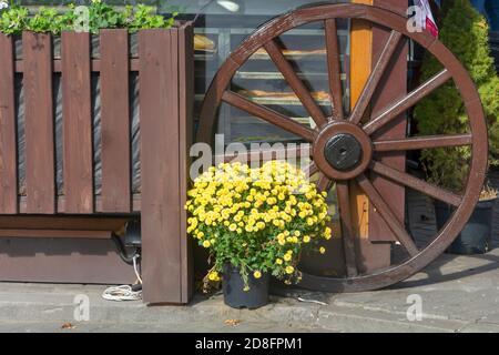 Grande ruota di legno accanto al recinto e grande bouquet di crisantemi gialli nel giardino. Bell'arredamento rustico. Foto Stock