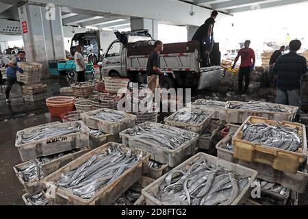 I pescatori hanno messo il pesce appena raccolto in cestini nella città di Zhoushan, nella provincia di Zhejiang della Cina orientale, il 20 settembre 2020. Foto Stock