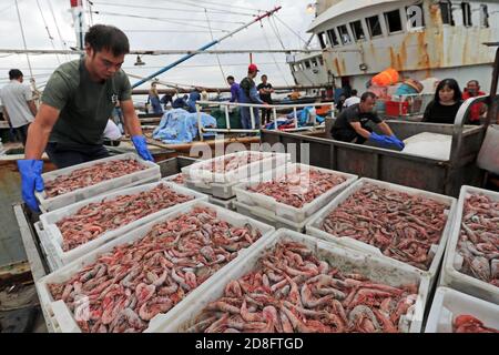 I pescatori hanno messo il pesce appena raccolto in cestini nella città di Zhoushan, nella provincia di Zhejiang della Cina orientale, il 20 settembre 2020. Foto Stock