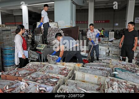 I pescatori hanno messo il pesce appena raccolto in cestini nella città di Zhoushan, nella provincia di Zhejiang della Cina orientale, il 20 settembre 2020. Foto Stock