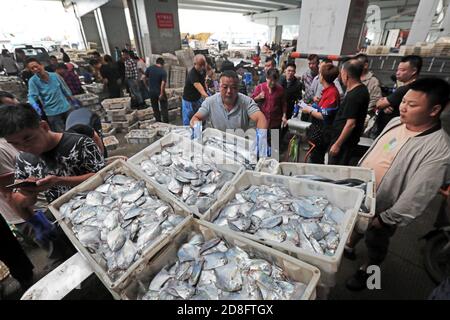 I pescatori hanno messo il pesce appena raccolto in cestini nella città di Zhoushan, nella provincia di Zhejiang della Cina orientale, il 20 settembre 2020. Foto Stock