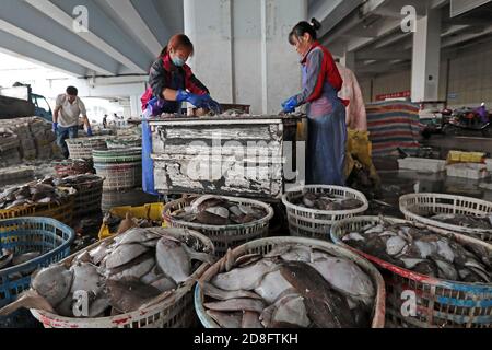 I pescatori hanno messo il pesce appena raccolto in cestini nella città di Zhoushan, nella provincia di Zhejiang della Cina orientale, il 20 settembre 2020. Foto Stock