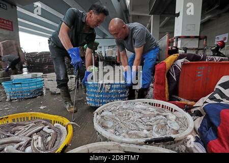 I pescatori hanno messo il pesce appena raccolto in cestini nella città di Zhoushan, nella provincia di Zhejiang della Cina orientale, il 20 settembre 2020. Foto Stock