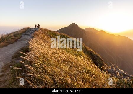 Jiangxi, Jiangxi, Cina. 30 Ott 2020. LA montagna CHINA-Wugong, situata nella provincia centrale e occidentale di Jiangxi, si trova a cavallo della Contea di Luxi, della Città di Pingxiang, della Contea di Anfu, della Città di Ji 'An e del Distretto di Yuanzhou, della Città di Yichun. La sua cima principale è 1918.3 metri sopra il livello del mare. Il prato di 100,000 mu si estende fino alla cima della montagna con un'altitudine di oltre 1,600 metri. L'alta quota e l'ampia area del prato alpino del Monte Wugong sono uniche tra le famose montagne della stessa latitudine del mondo. Credit: ZUMA Press, Inc./Alamy Live News Foto Stock