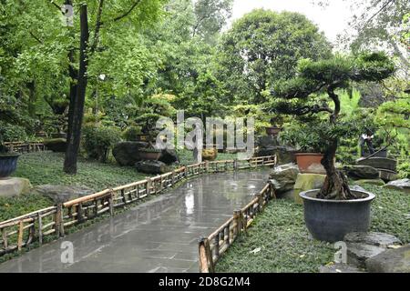 Chengdu, Chengdu, Cina. 30 Ott 2020. IL Tempio DI CINA-Wuhou a Chengdu, provincia di Sichuan, spesso mancato dai turisti, è un'arte del 'Sichuan bonsai', che fa sì che la gente voglia sollevare un piatto. Credit: SIPA Asia/ZUMA Wire/Alamy Live News Foto Stock