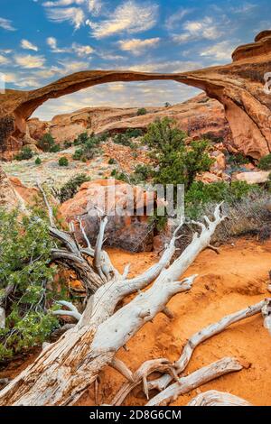 Landscape Arch, Arches National Park, Utah, Stati Uniti d'America Foto Stock