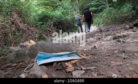 Immagine di una maschera facciale gettata a terra un parco Foto Stock