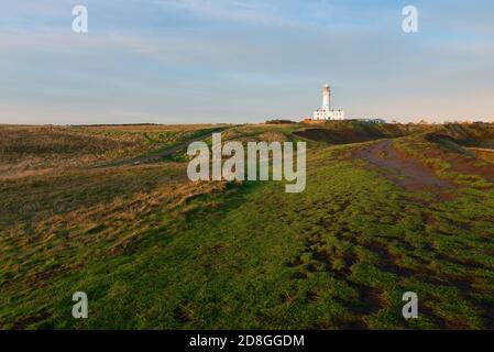 Faro sotto il cielo blu con erbe che corrono lungo il promontorio all'alba in autunno a Flamborough, Yorkshire, Regno Unito. Foto Stock