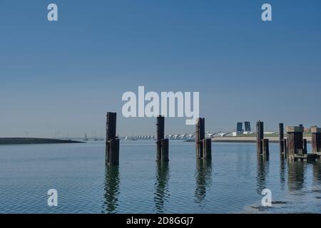 Il Zeelandbrug (Zeeland ponte) nella provincia di Zelanda nei Paesi Bassi. Foto Stock