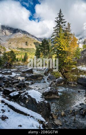 Incontaminato torrente di montagna a Derborence in autunno in Vallese Foto Stock