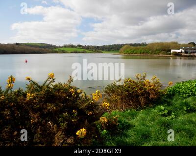 Il fiume Truro vicino a Sunny Corner, Truro, Cornovaglia. Foto Stock