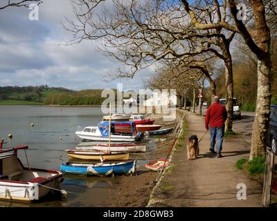 Camminando il cane accanto al fiume Truro al Sunny Corner vicino a Malpas, Cornovaglia. Foto Stock