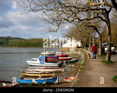 Camminando il cane accanto al fiume Truro al Sunny Corner vicino a Malpas, Cornovaglia. Foto Stock