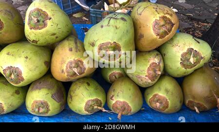 Vista panoramica delle fresche noci di cocco verdi, Cocos nucifera è un membro della famiglia delle palme Foto Stock