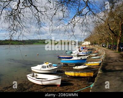 Il fiume Truro al Sunny Corner vicino a Malpas, Cornovaglia. Foto Stock