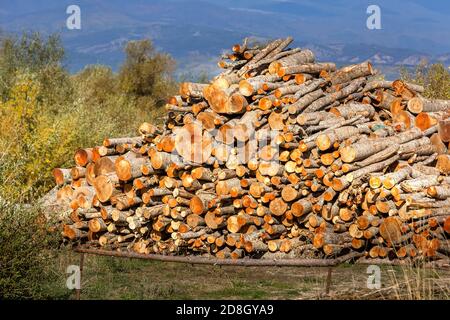 Grande pila di tronchi di legno pronti per il taglio, concetto di ambiente ecologico Foto Stock