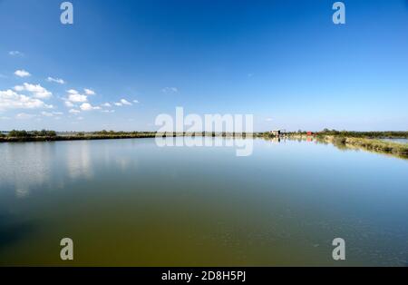 Valle Bagliona (Ro),Delta del po,Italia,vista sulle acque del Walley Foto Stock