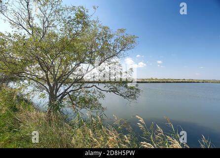 Valle Bagliona (Ro),Delta del po,Italia,vista sulle acque del Walley Foto Stock