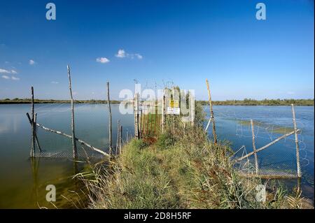 Valle Bagliona (Ro),Delta del po,Italia,vista sulle acque del Walley Foto Stock