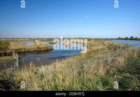 Valle Bagliona (Ro),Delta del po,Italia,vista sulle acque del Walley Foto Stock