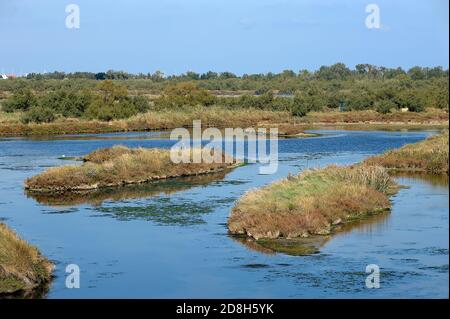 Valle Bagliona (Ro),Delta del po,Italia,vista sulle acque del Walley Foto Stock