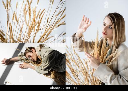 collage di giovane donna trendy in occhiali mentendo e toccando grano su bianco Foto Stock