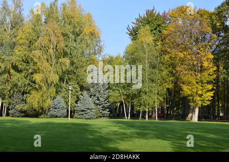 Paesaggio di un parco naturale Foto Stock