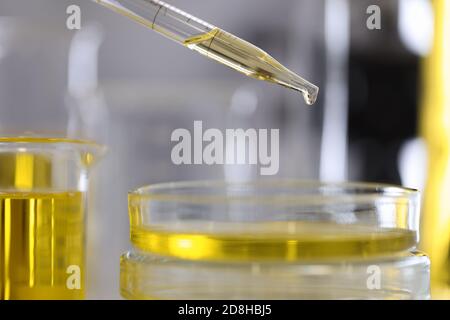 Goccia di olio dal dispenser nella capsula di Petri in primo piano del laboratorio chimico Foto Stock