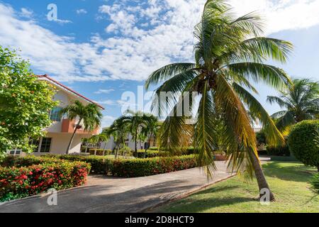 splendido design paesaggistico. Le palme crescono tra grandi dimore in climi tropicali. Foto Stock