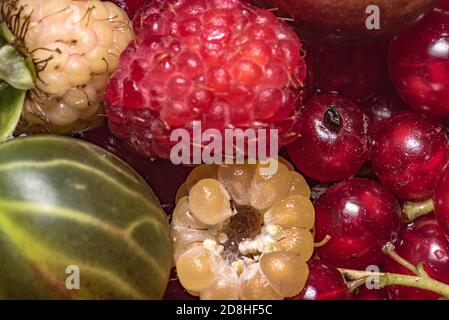 Frutta fresca, ribes, frutti di bosco, lamponi rossi e gialli. Prelibatezze estive e primaverili direttamente dal giardino. Cibo sano. Colorato, gustoso Foto Stock
