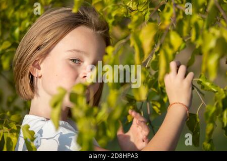 La faccia della bambina sbirciata dalle foglie verdi. Foto Stock