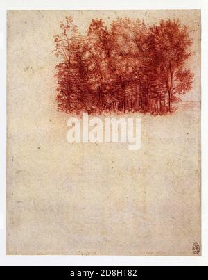 Leonardo da Vinci. Una fossa di alberi. 1500. Gesso rosso Foto Stock