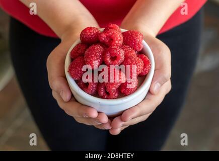 Mani che tengono una ciotola di lamponi freschi Foto Stock