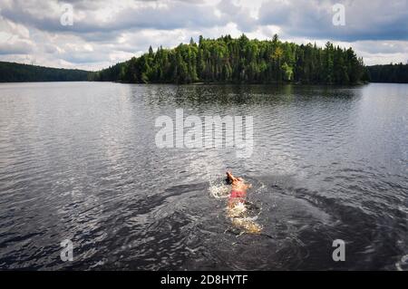 Nuoto in canoa nel PARCO provinciale Algonquin dell'Ontario, ONTARIO, CANADA. Foto Stock