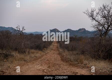 Una strada in ghiaia ben tenuta in una riserva di caccia Foto Stock