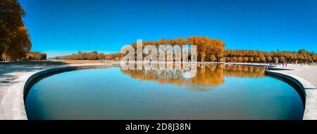Uno dei bellissimi laghetti nei giardini della Reggia di Versailles. Foto Stock