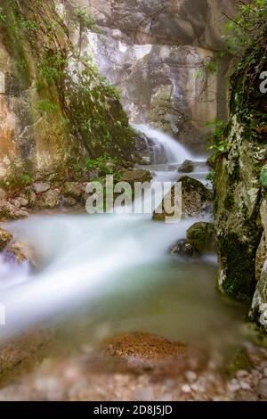 Flusso d'acqua, piccolo fiume nascosto nella foresta Foto Stock