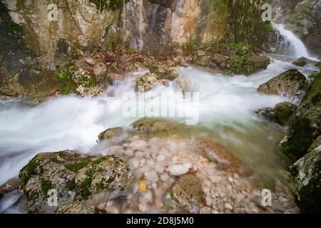 Flusso d'acqua, piccolo fiume nascosto nella foresta Foto Stock
