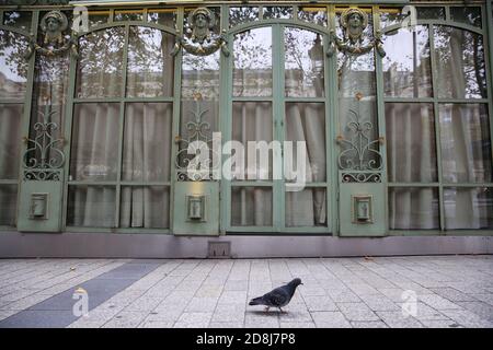 (201030) -- PARIGI, 30 ottobre 2020 (Xinhua) -- UN piccione è visto fuori Laduree ristorante presso gli Champs-Elysees Avenue a Parigi, Francia, 30 ottobre 2020. La Francia ha registrato 47,637 casi di infezione da coronavirus nelle ultime 24 ore, portando il totale complessivo a oltre 1.28 milioni alla vigilia di un blocco nazionale per arginare la brutale seconda ondata dell'epidemia, secondo le cifre ufficiali rilasciate giovedì. A partire da giovedì mezzanotte, i 67 milioni di abitanti del paese saranno bloccati fino almeno all'inizio di dicembre. Credit: Xinhua/Alamy Live News Foto Stock