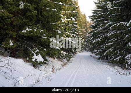 Impronte nella neve per lo sci di fondo Foto Stock