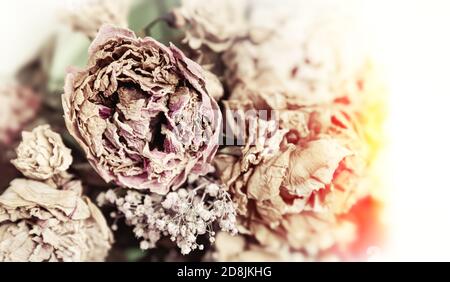 Bouquet asciutto. Immagine ravvicinata di fiori secchi in un bouquet. Concetto di vita e di morte. Sfondo floreale appassito Foto Stock
