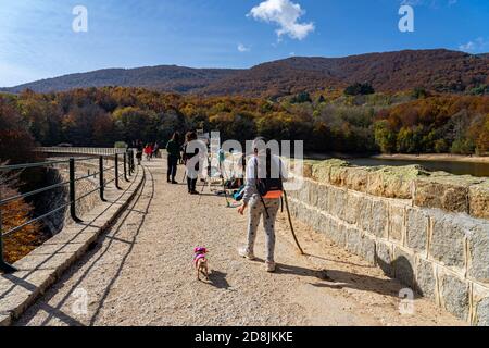 Montseny foresta colorata autunno in Catalogna, Spagna. Foto Stock