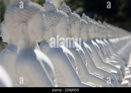 File di statue di Buddha al Giardino di mille Buddha ad Arlee, Montana, il 24 luglio 2020. Fondata da Gochen Tulku Sang-ngag Rinpoche nel 2000 AN Foto Stock