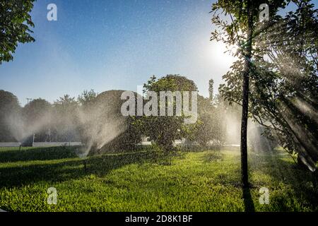 Getti automatici che spruzzano acqua nell'aria per l'acqua del piante ed erba nel parco pubblico Foto Stock