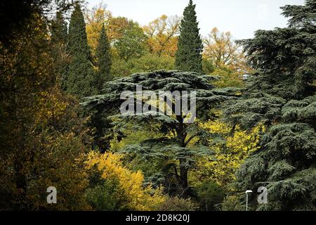 Imola, Italia. 30 Ott 2020. 10/30/2020, Autodromo Enzo e Dino Ferrari, Imola, Formula 1 Emirati Gran Premio dell'emilia Romagna 2020, nella foto impressioni dalla pista di Imola | Usage worldwide Credit: dpa/Alamy Live News Foto Stock