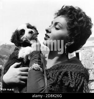 GINA LOLLOBRIGIDA con il cane in posizione impostata candid a Ravello In Italia le riprese BATTONO IL DIAVOLO 1953 regista JOHN HUSTON La sceneggiatura di Novel Claud Cockburn Truman Capote e John Huston UK - Italia - USA co-produzione Romulus Films / Caro Film / Santana Pictures Corporation Foto Stock