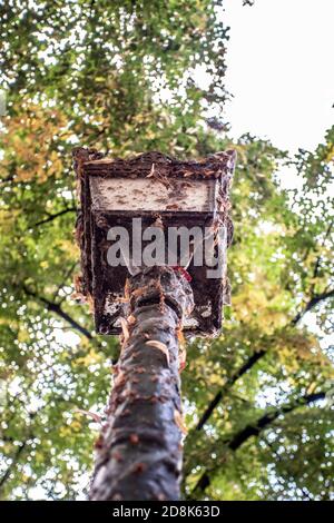 Lampione molto vecchio con ruggine e decadimento Foto Stock