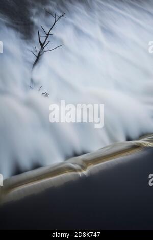 ramoscello costante di un albero in astratta acqua in movimento Foto Stock