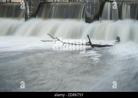 ramoscello costante di un albero in astratta acqua in movimento Foto Stock